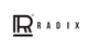 Radix Industries India Ltd Q1 FY2025 profit at Rs. 53.44 lakhs